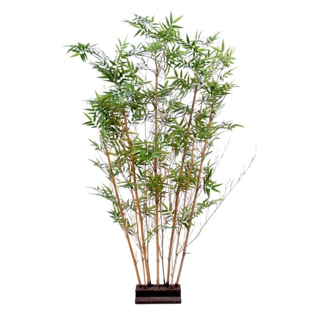 Bambou Artificiel Oriental Haie 2 - Bambou Artificiel Oriental Haie 2