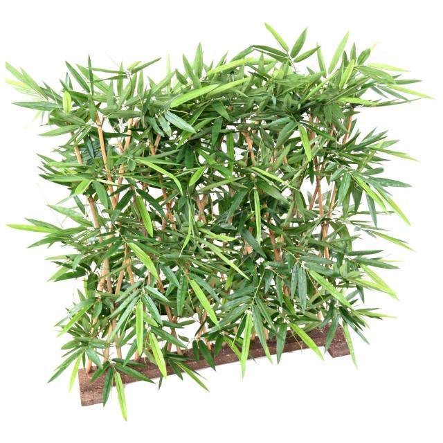 Bambou Artificiel NEW Haie UV Socle 95