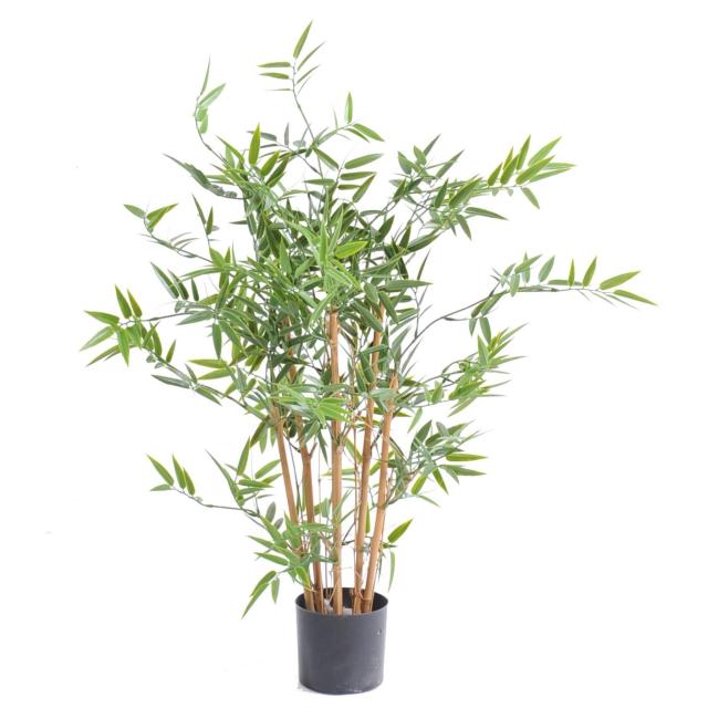 Bambou Japanese PLAST UV