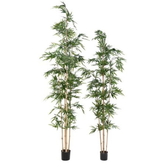 Bambou Assymetrique Artificiel - Bambou Artificiel Assymetrique