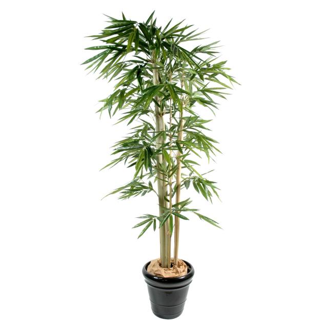 Bambou Artificiel 3 Cannes Feuilles Larges - Bambou Artificiel*3 Feuille Large