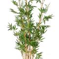 Bambou Artificiel TC