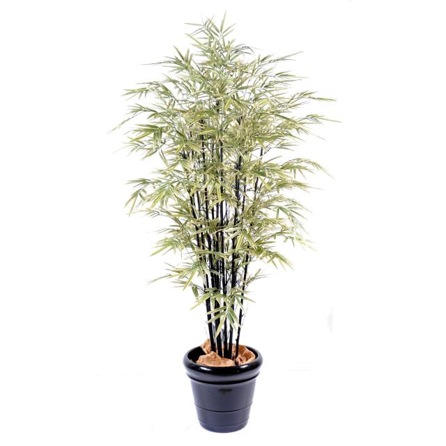Bambou Black Shiroshima Artificiel Large - Bambou Artificiel Black Shiroshima Large