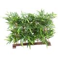 Bambou Artificiel NEW Haie UV Socle 95