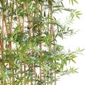 Bambou Artificiel Japanese PLAST Haie UV