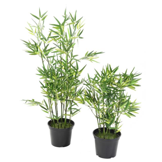 Bambou Artificiel Tiges Vertes, 9 Cannes Naturelles - Bambou Artificiel TV