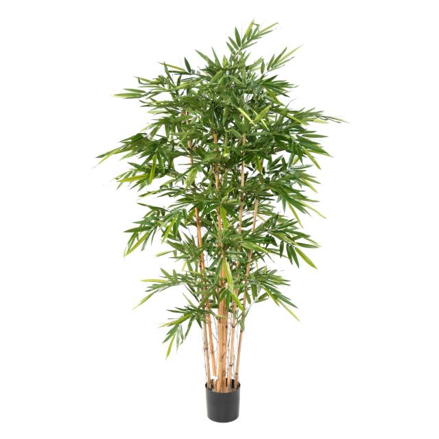 Bambou Artificiel NEW Luxe