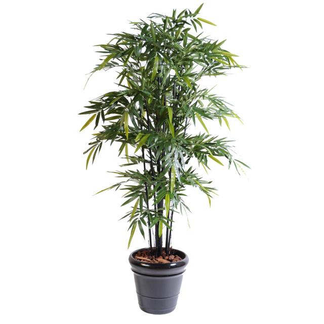 Bambou Artificiel Black Natural, Cannes Naturelles - Bambou Artificiel Black Natural NC