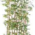 Bambou Artificiel Oriental Haie
