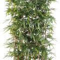 Bambou Artificiel NEW Haie Socle 75