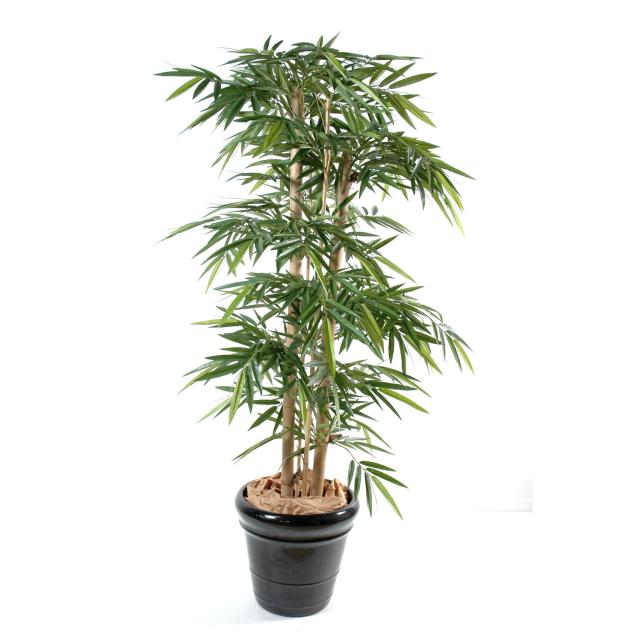 Bambou Artificiel NEW Grosses Cannes - Bambou Artificiel NEW Grosses Cannes