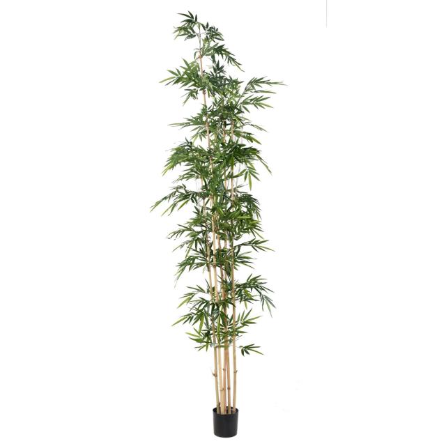 Bambou Artificiel Asymetrique
