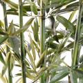 Bambou Artificiel NEW Green