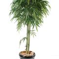 Bambou Artificiel NEW Tete 3tr